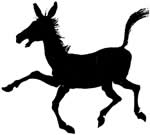 mule