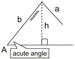 AMB1